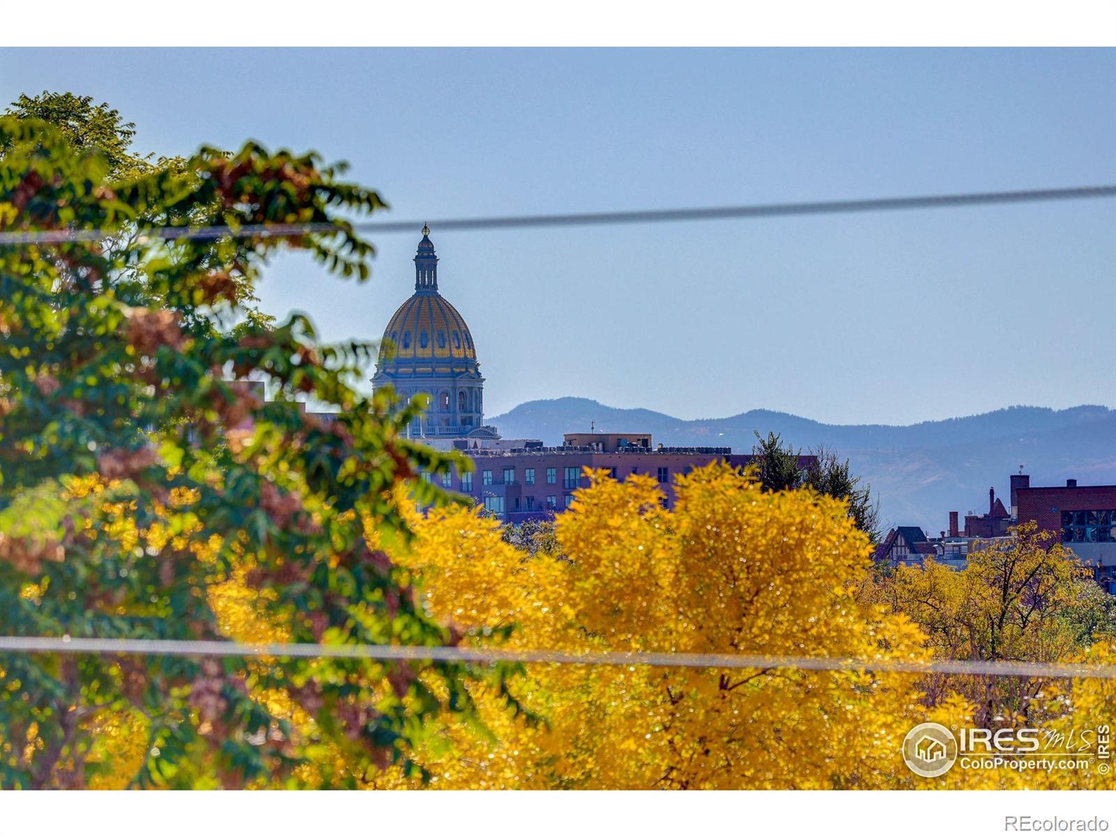 MLS Image #28 for 2139 n downing street ,denver, Colorado