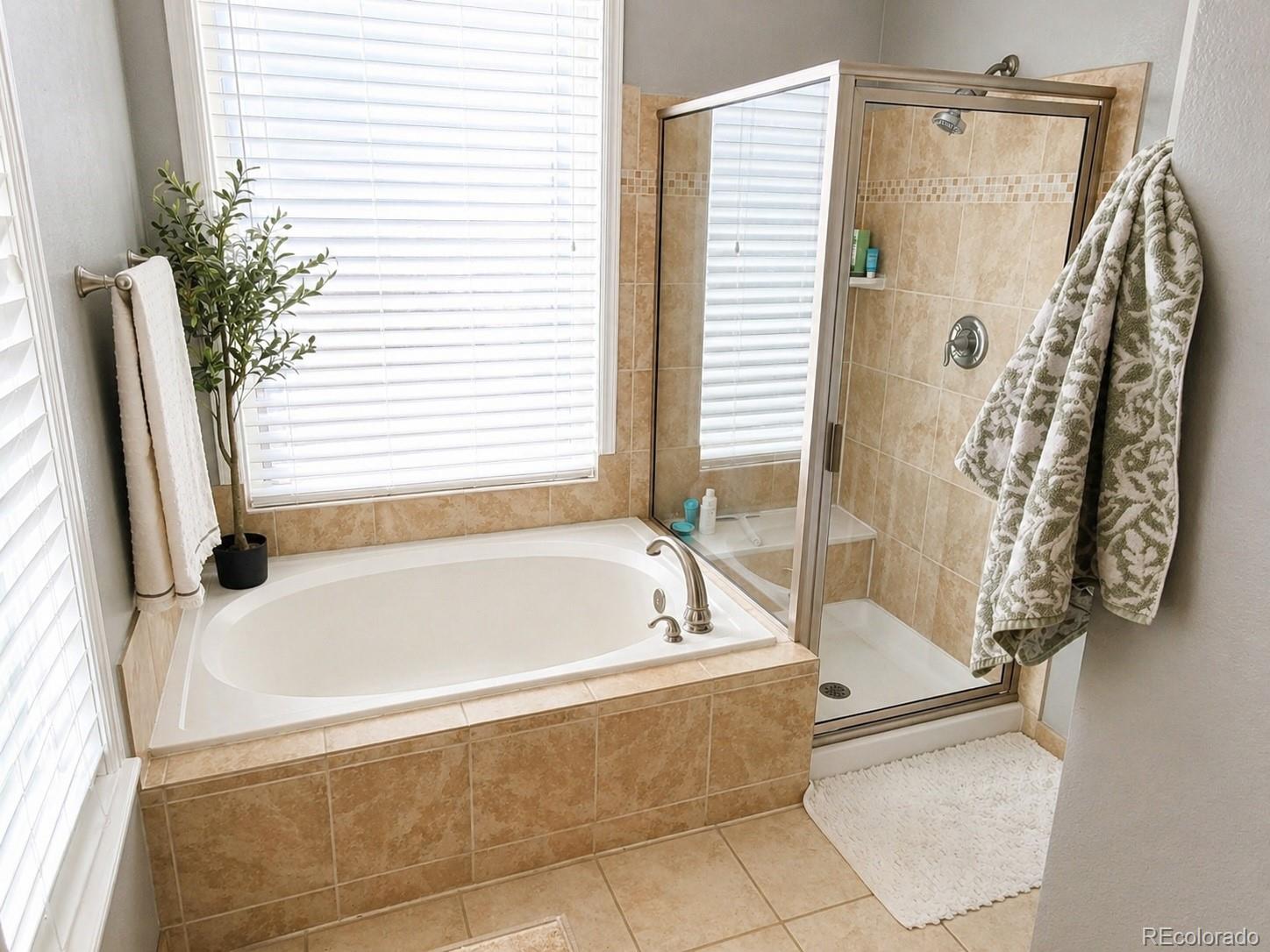 MLS Image #10 for 15362  foxglove court,parker, Colorado