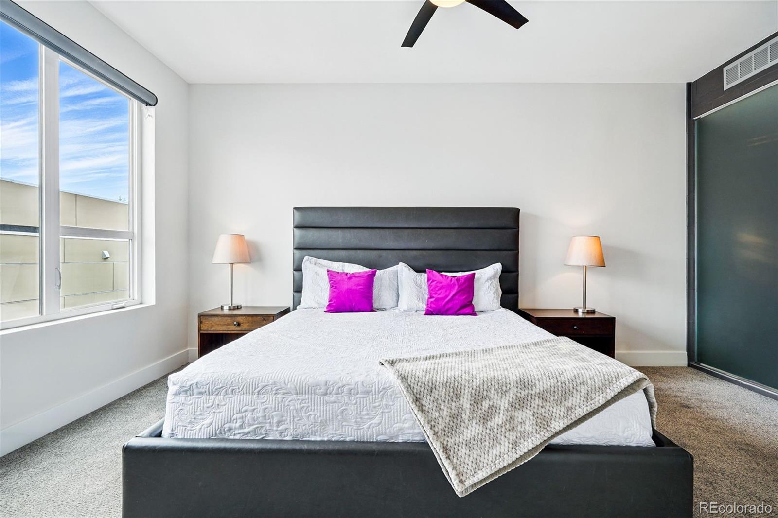 MLS Image #17 for 3444  navajo street 10,denver, Colorado