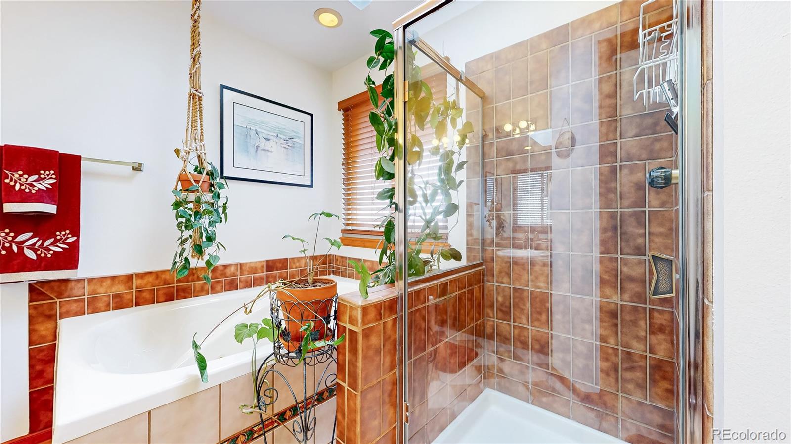 MLS Image #24 for 314  defrance court,golden, Colorado