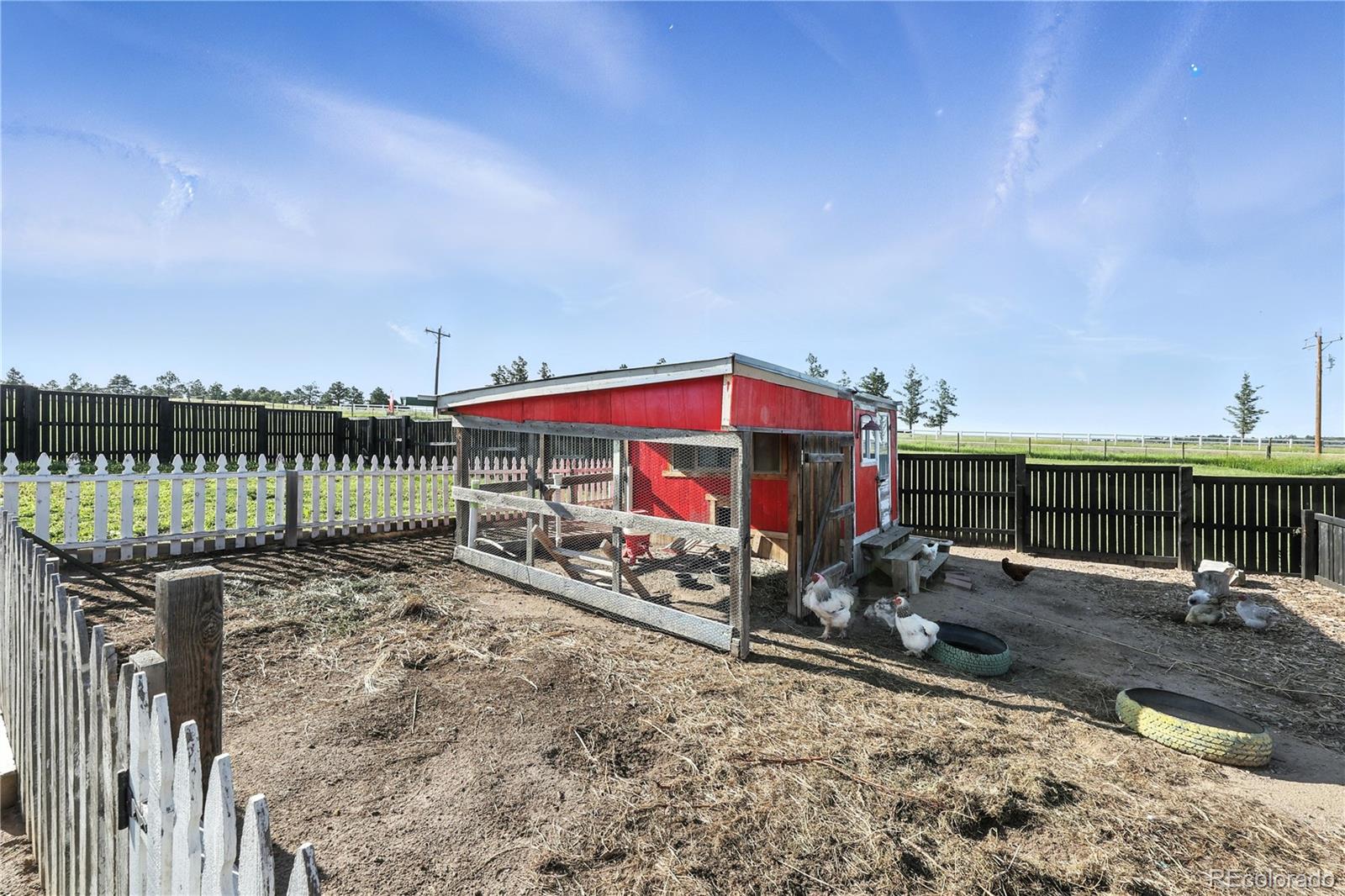 MLS Image #38 for 20420  amanda court,colorado springs, Colorado