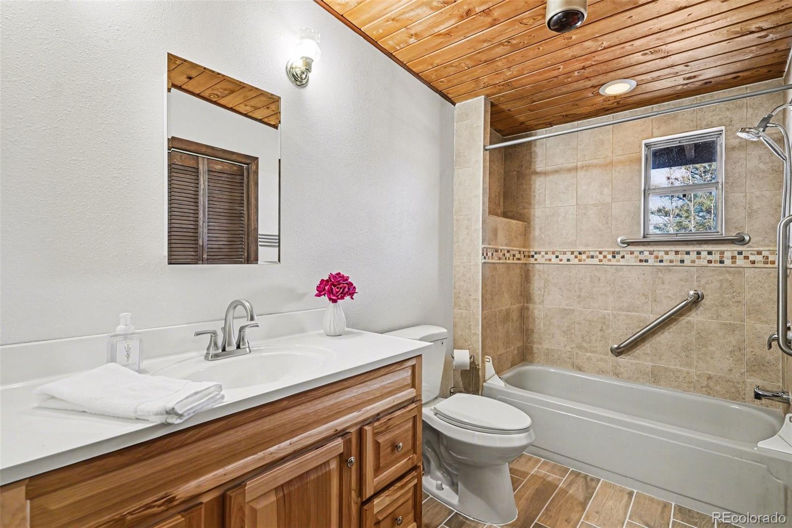 MLS Image #10 for 26003  morris avenue,conifer, Colorado