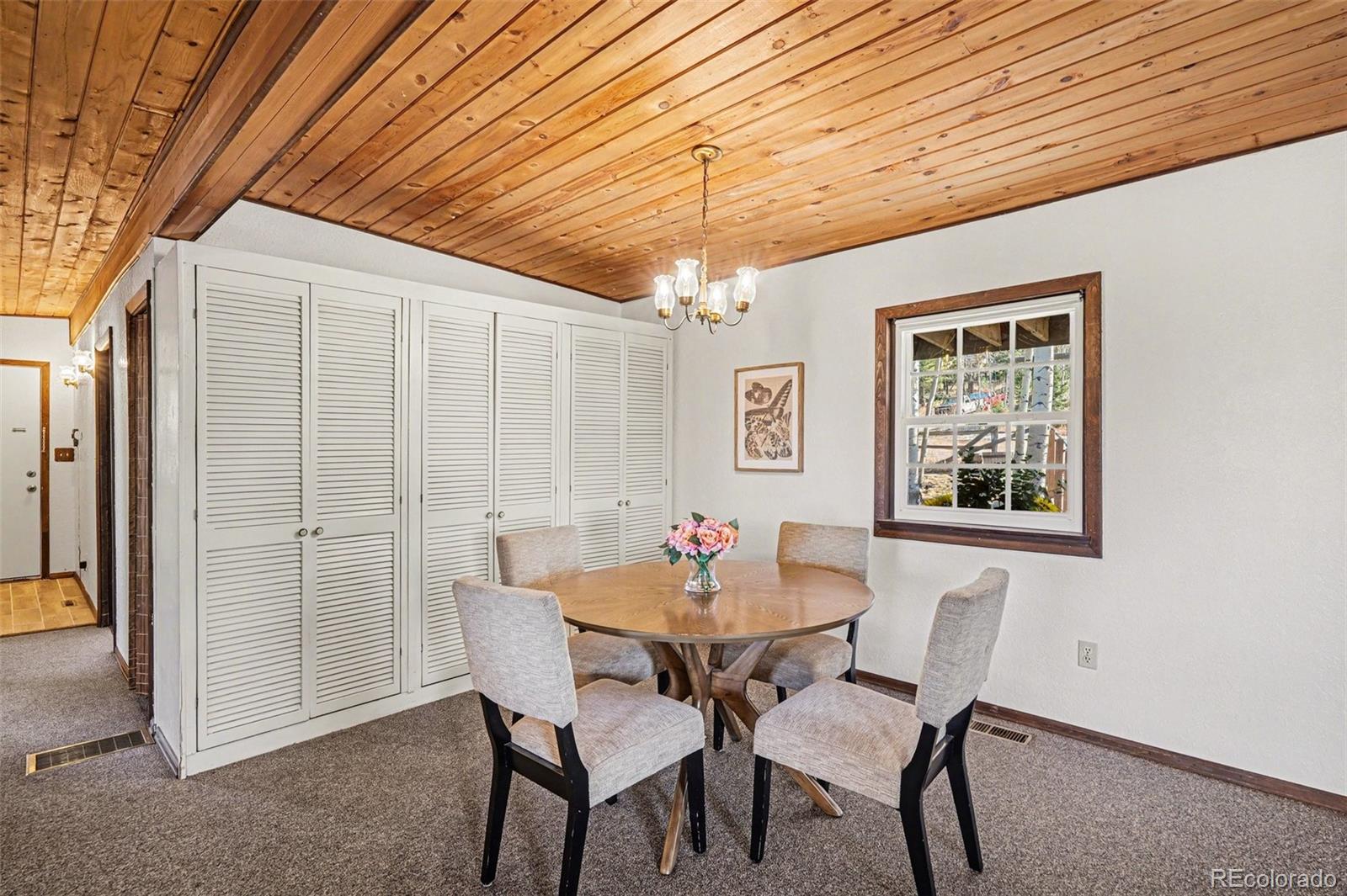 MLS Image #9 for 26003  morris avenue,conifer, Colorado