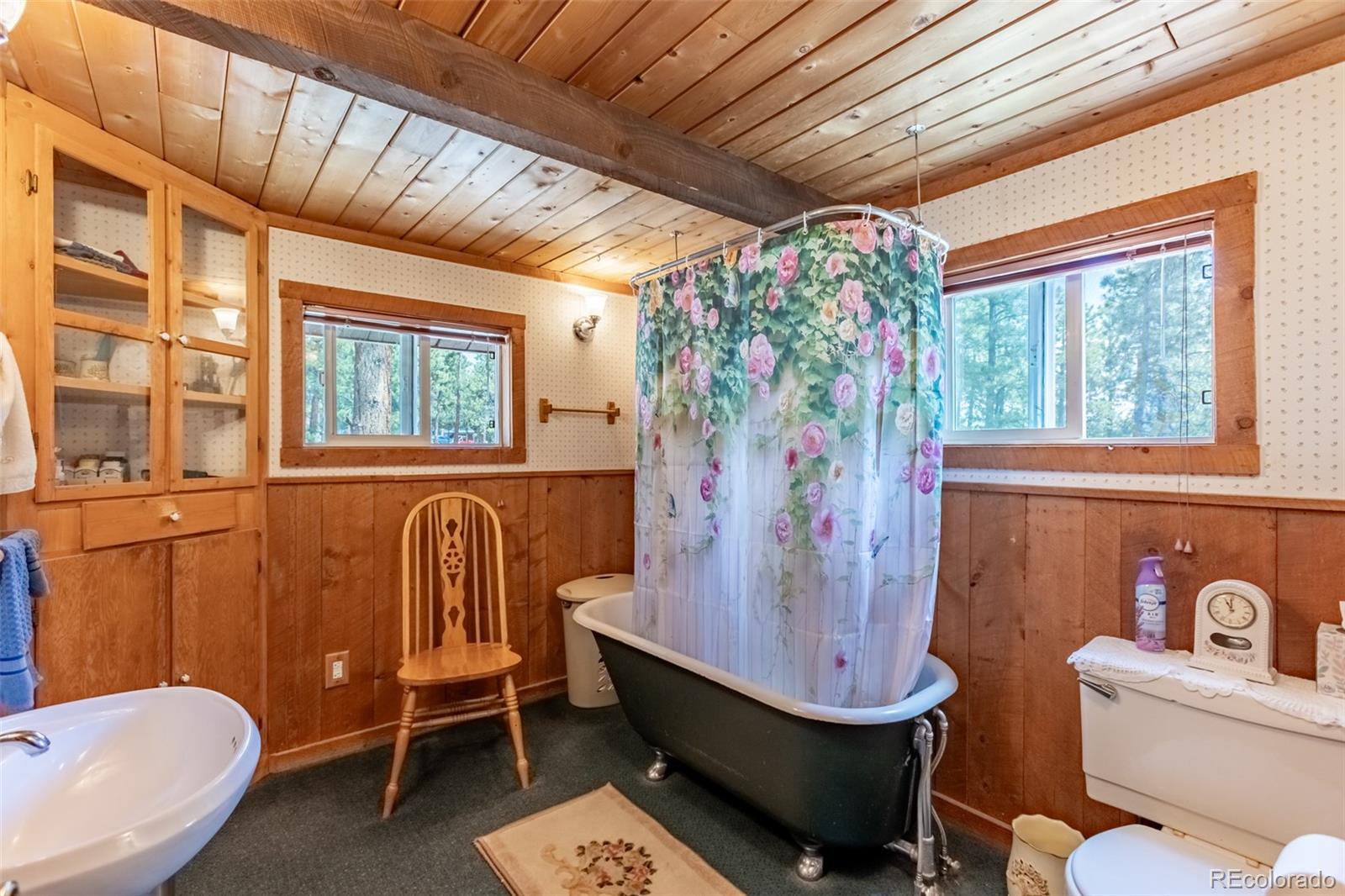 MLS Image #10 for 16530  mt princeton road,buena vista, Colorado