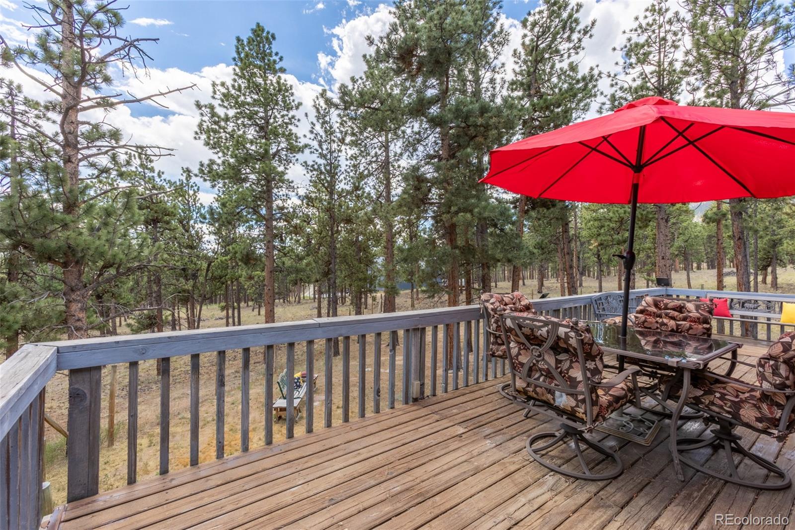 MLS Image #11 for 16530  mt princeton road,buena vista, Colorado