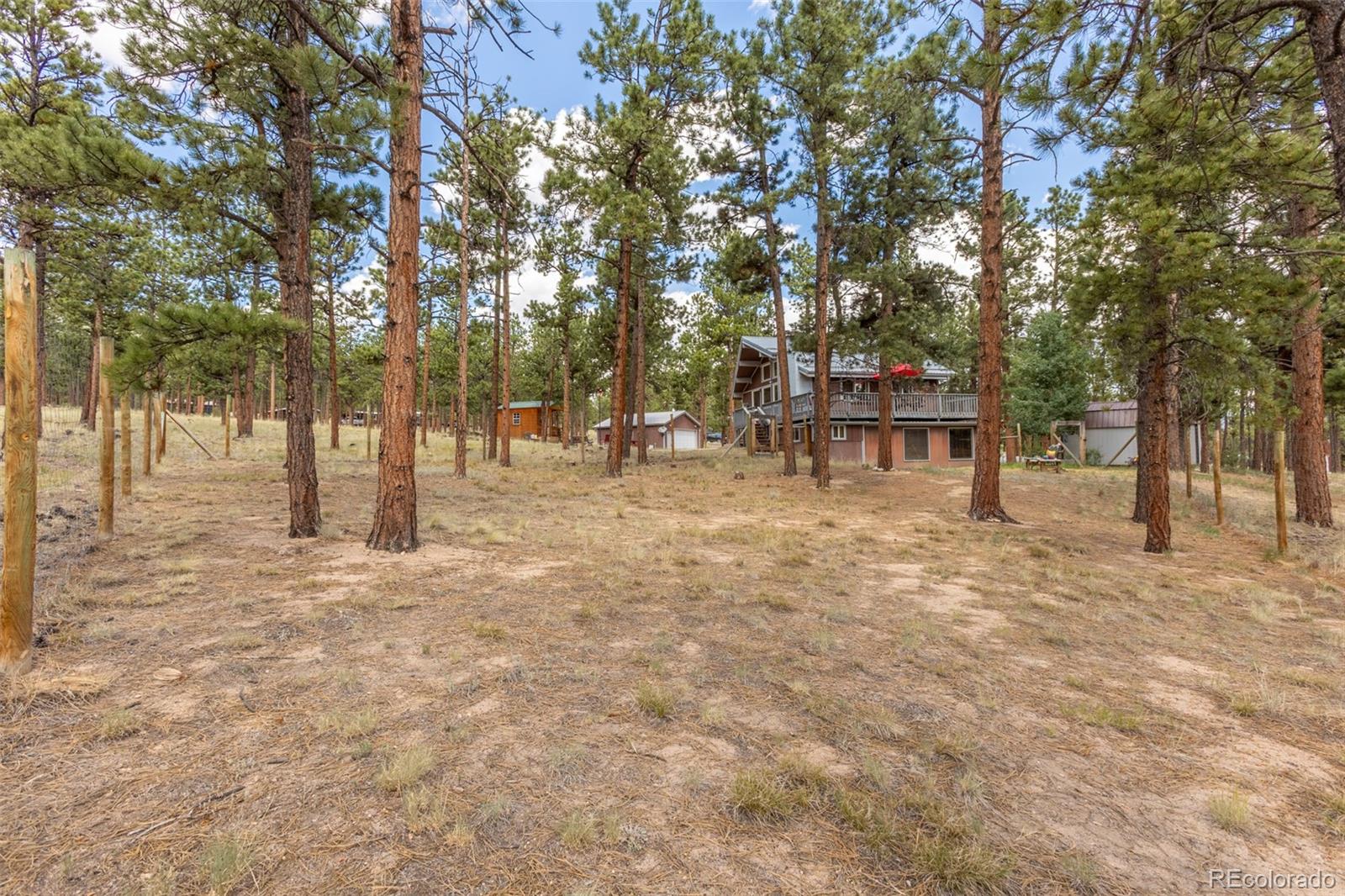 MLS Image #12 for 16530  mt princeton road,buena vista, Colorado