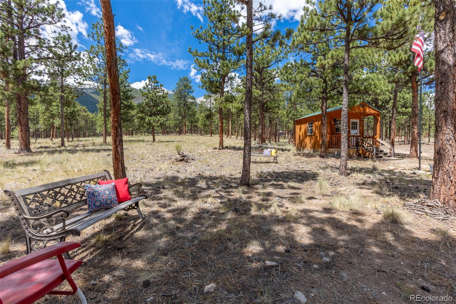 MLS Image #13 for 16530  mt princeton road,buena vista, Colorado