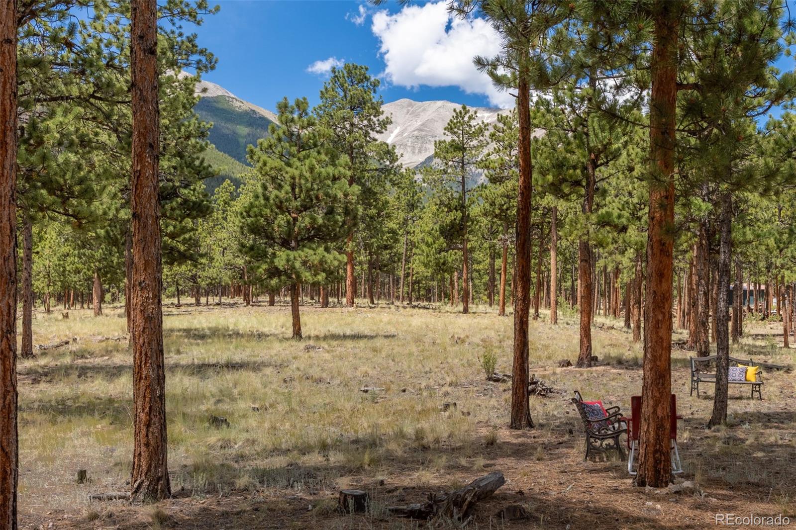 MLS Image #14 for 16530  mt princeton road,buena vista, Colorado