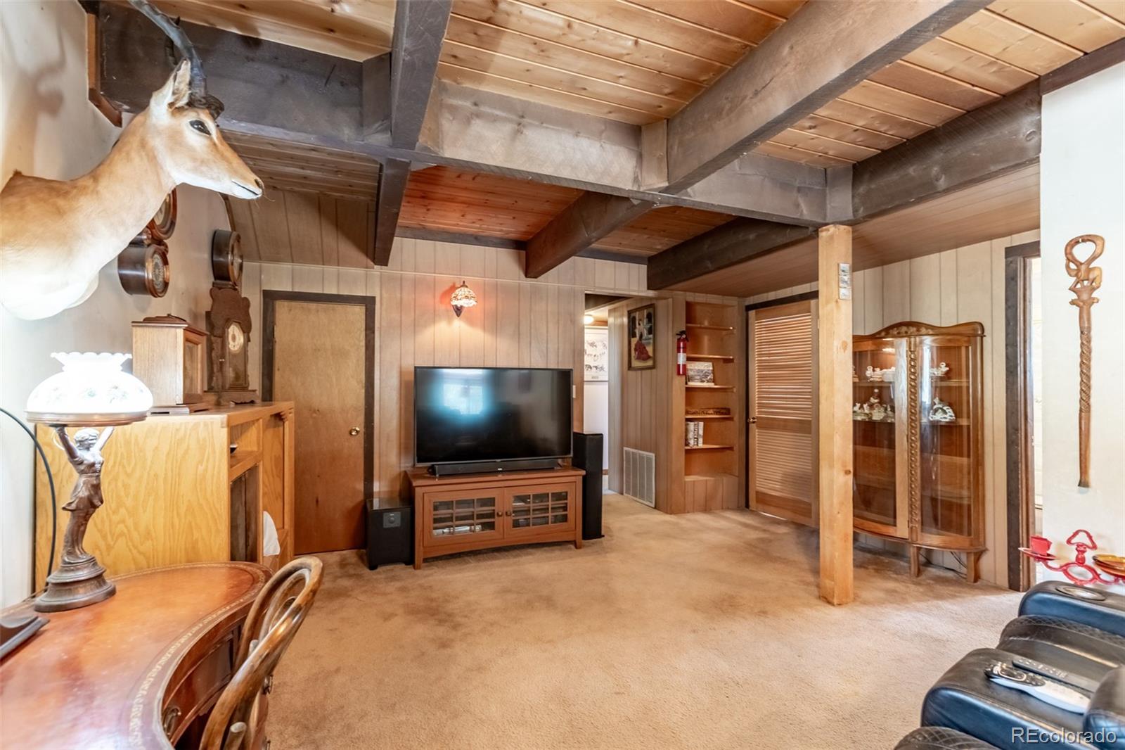 MLS Image #15 for 16530  mt princeton road,buena vista, Colorado