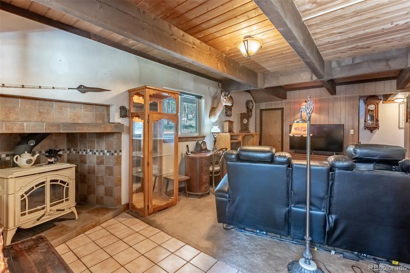 MLS Image #16 for 16530  mt princeton road,buena vista, Colorado