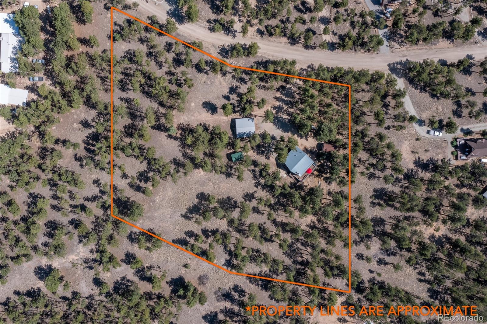 MLS Image #2 for 16530  mt princeton road,buena vista, Colorado