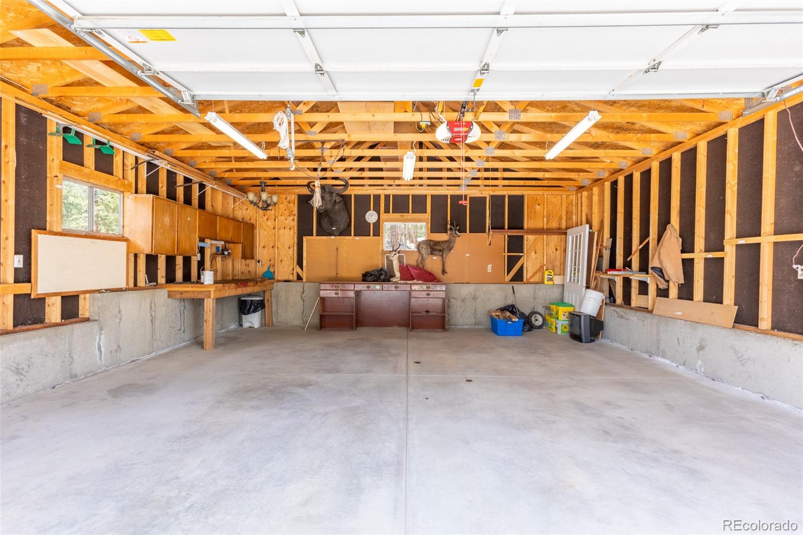 MLS Image #23 for 16530  mt princeton road,buena vista, Colorado