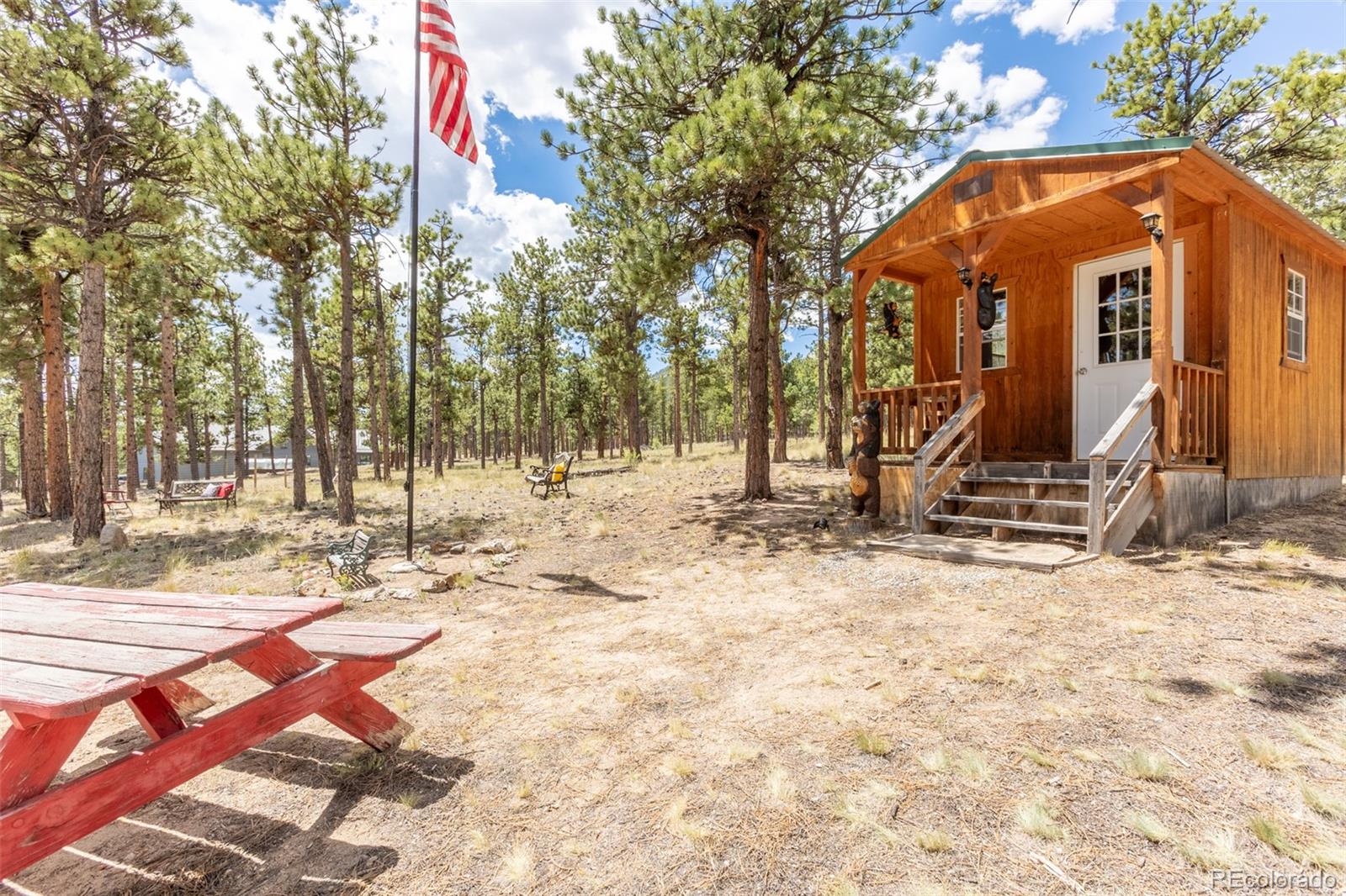 MLS Image #24 for 16530  mt princeton road,buena vista, Colorado
