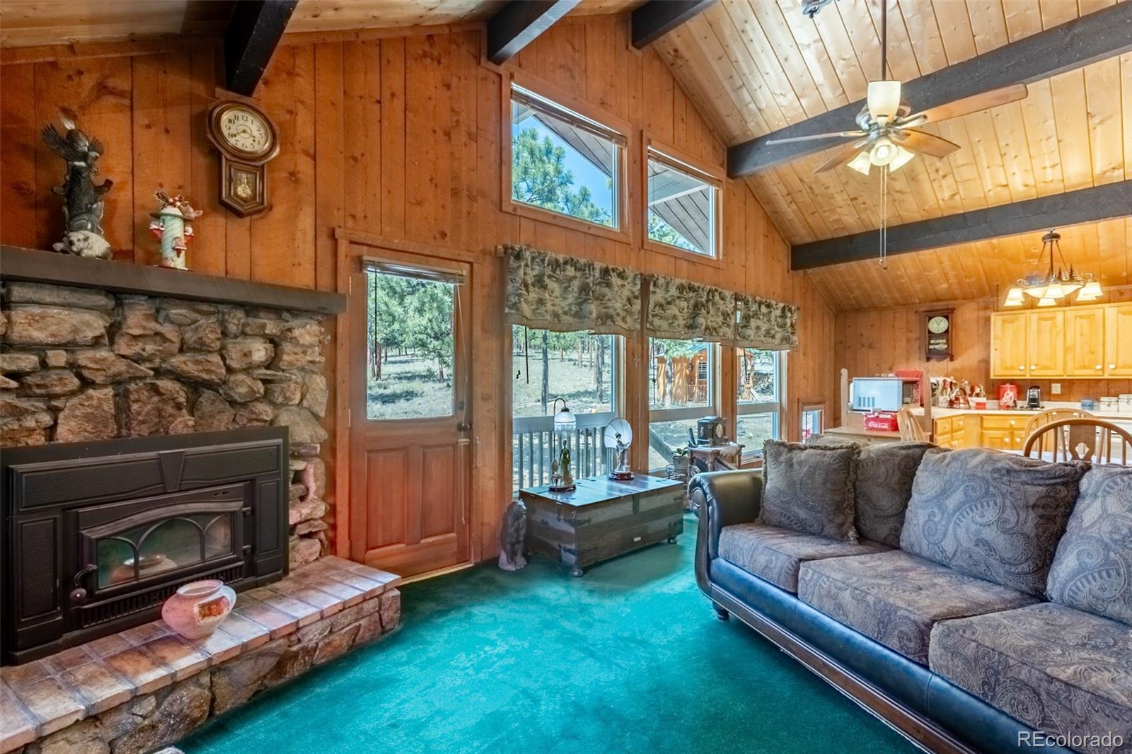 MLS Image #3 for 16530  mt princeton road,buena vista, Colorado