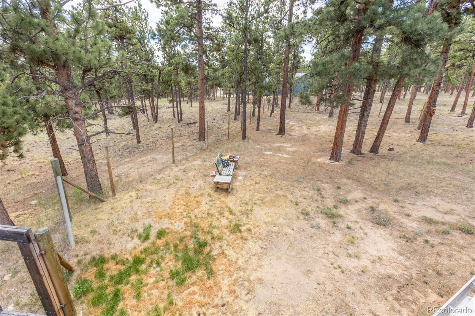MLS Image #34 for 16530  mt princeton road,buena vista, Colorado