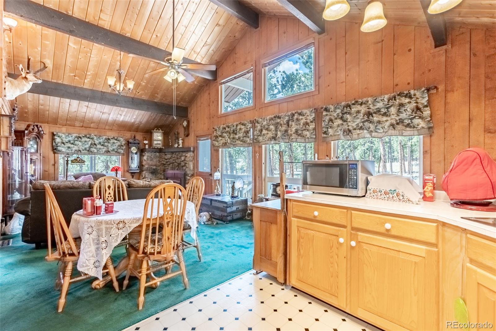 MLS Image #5 for 16530  mt princeton road,buena vista, Colorado