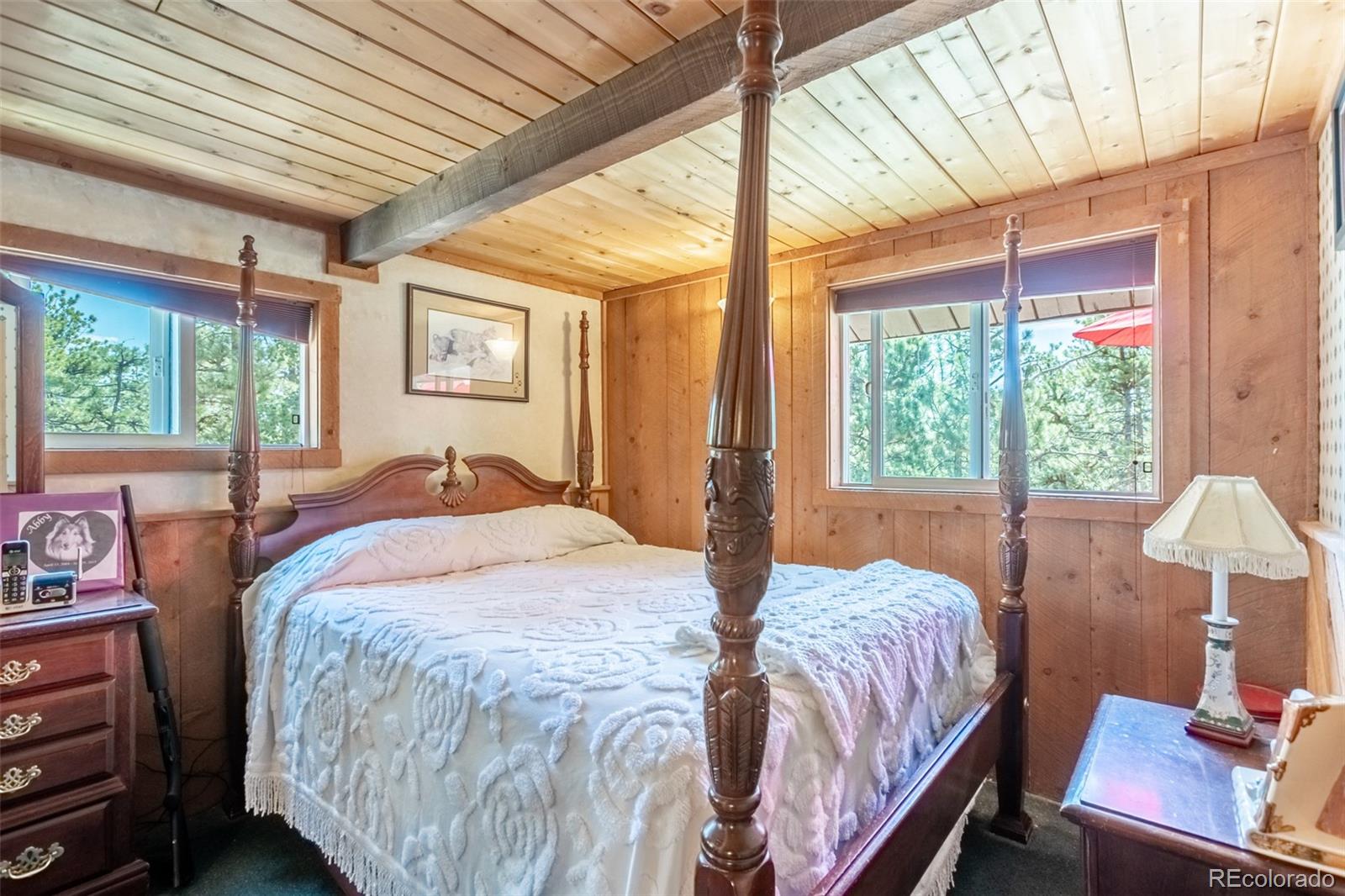 MLS Image #8 for 16530  mt princeton road,buena vista, Colorado