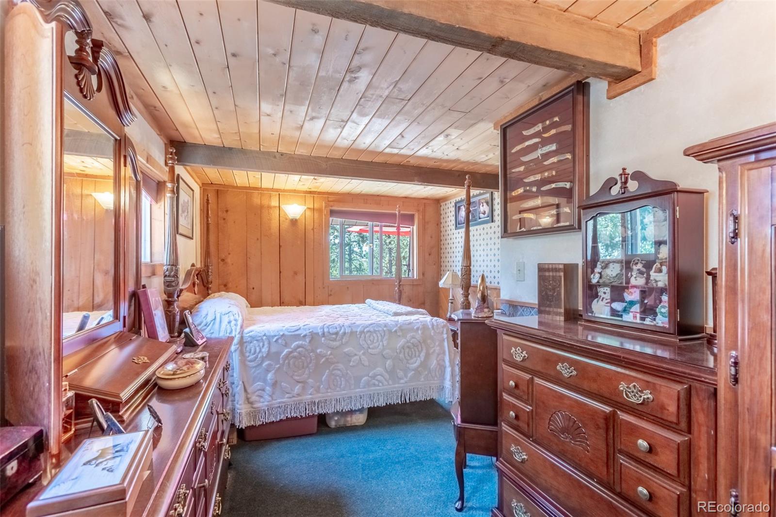 MLS Image #9 for 16530  mt princeton road,buena vista, Colorado