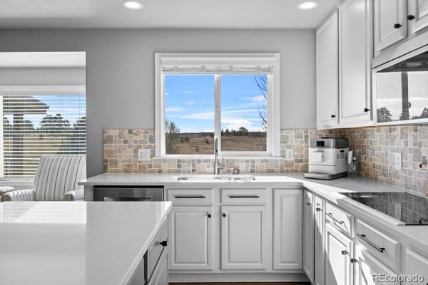 MLS Image #11 for 10740  wildridge court,parker, Colorado