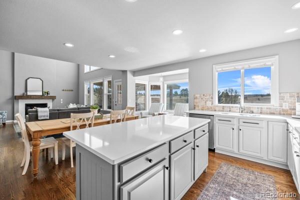 MLS Image #14 for 10740  wildridge court,parker, Colorado