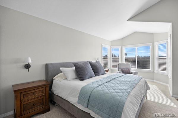 MLS Image #22 for 10740  wildridge court,parker, Colorado