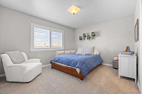MLS Image #27 for 10740  wildridge court,parker, Colorado