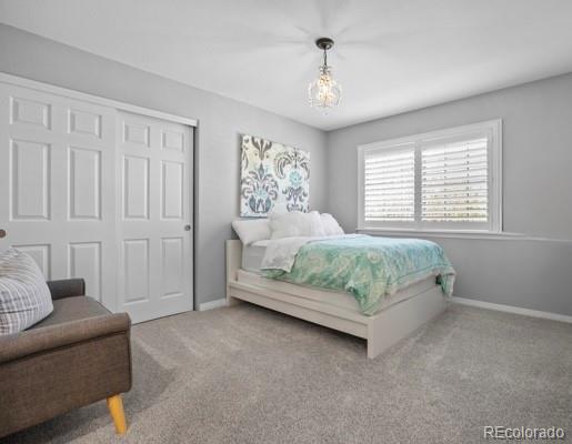 MLS Image #30 for 10740  wildridge court,parker, Colorado