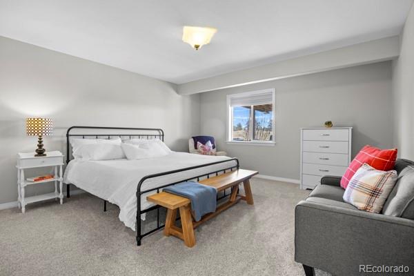 MLS Image #39 for 10740  wildridge court,parker, Colorado