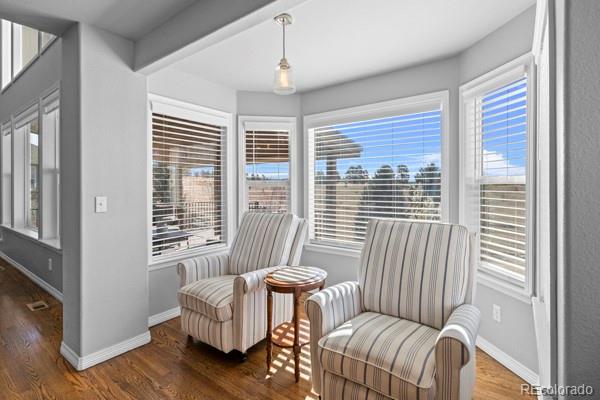 MLS Image #8 for 10740  wildridge court,parker, Colorado