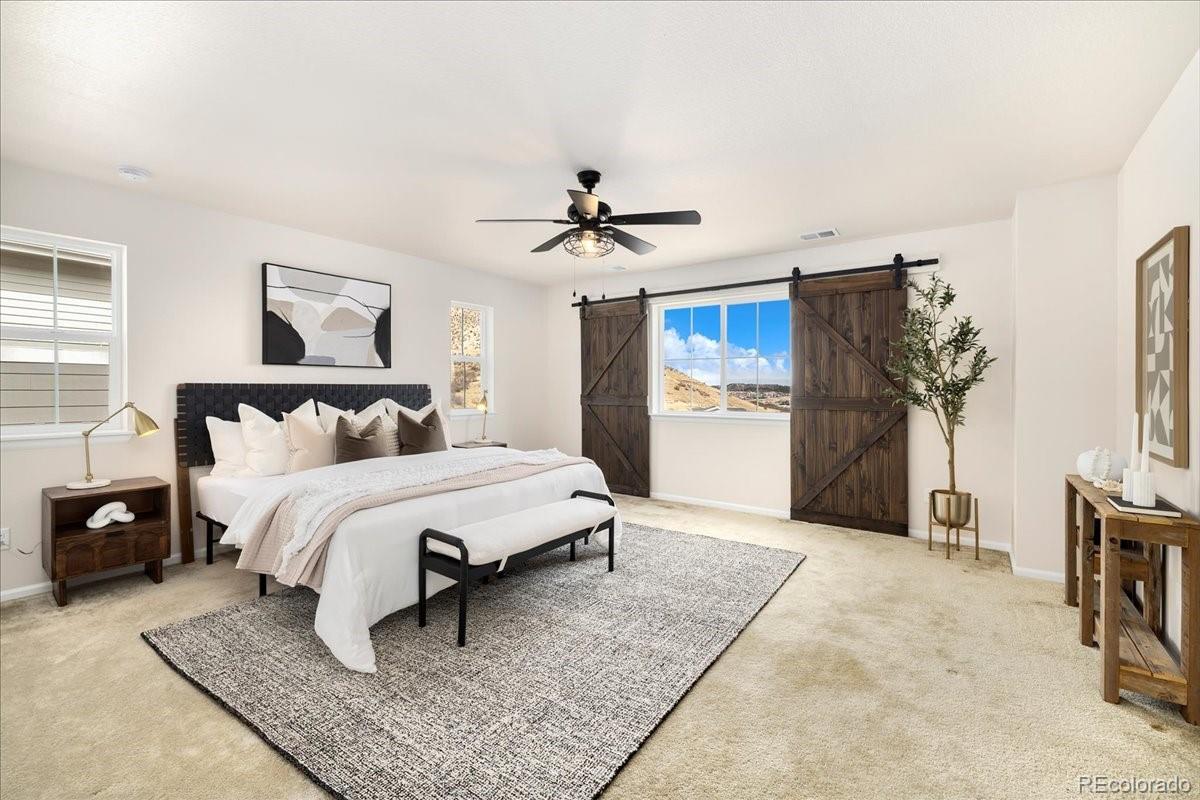 MLS Image #12 for 940  oleander street,castle rock, Colorado