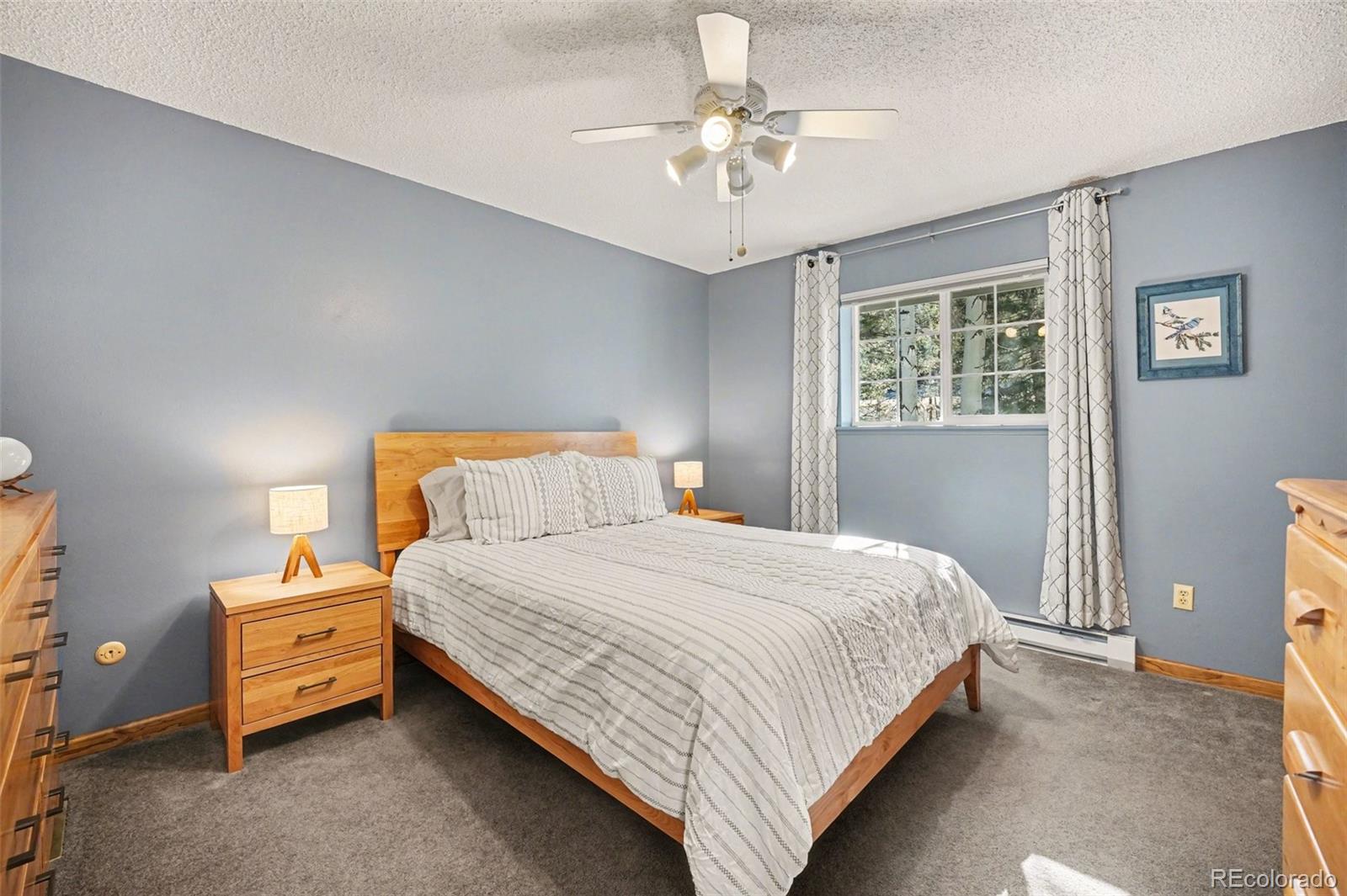 MLS Image #14 for 9780 s warhawk road,conifer, Colorado