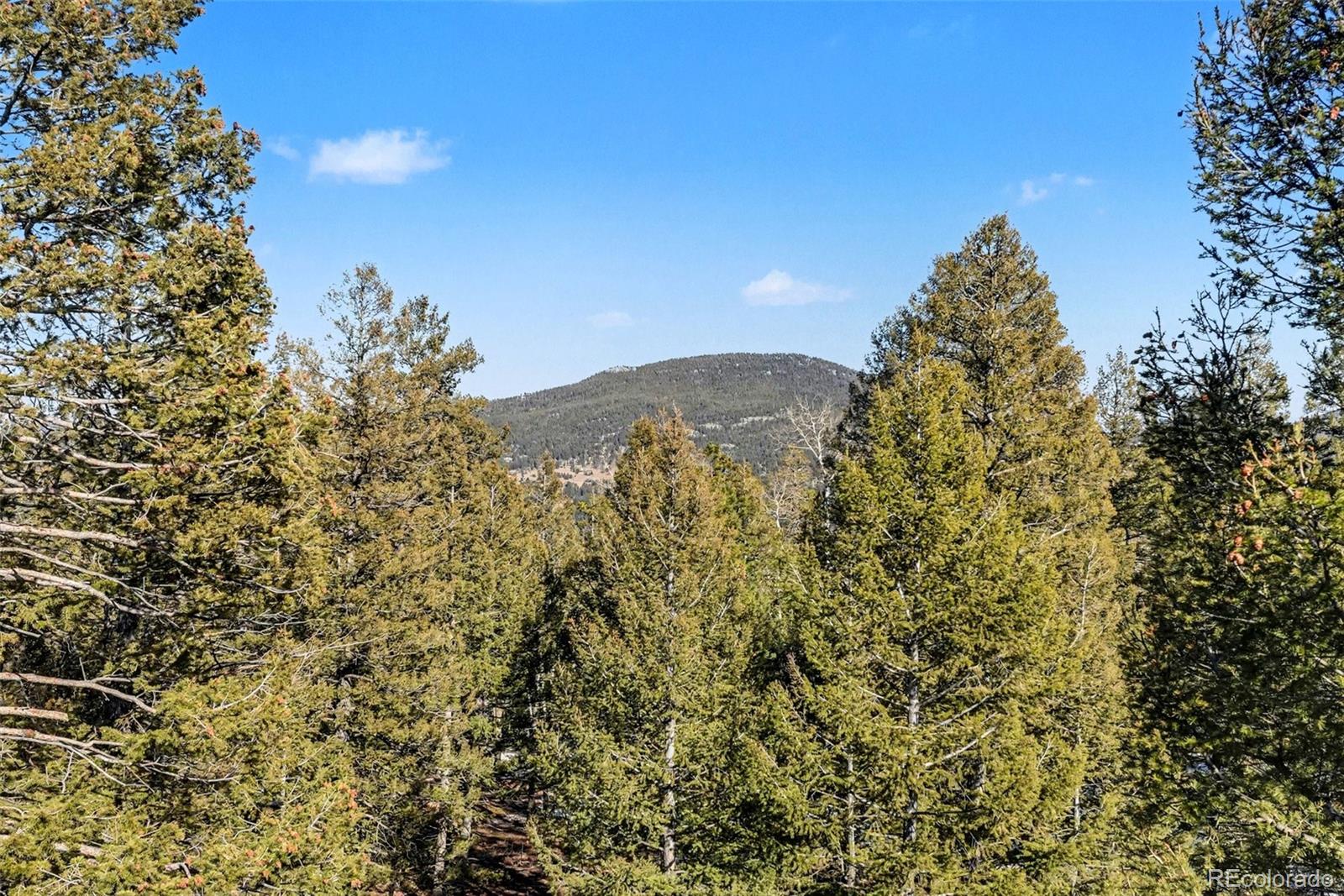 MLS Image #21 for 9780 s warhawk road,conifer, Colorado