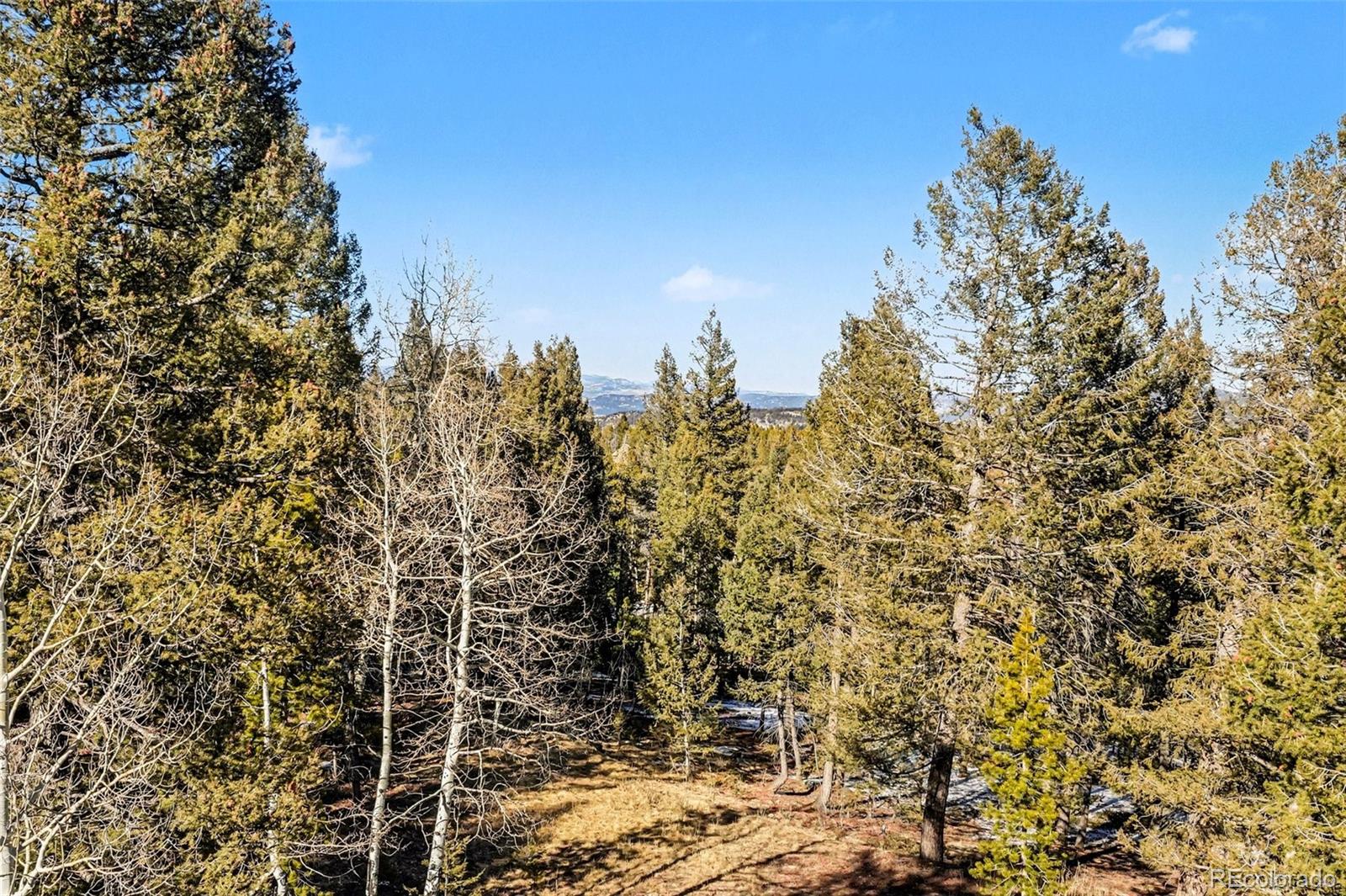 MLS Image #8 for 9780 s warhawk road,conifer, Colorado