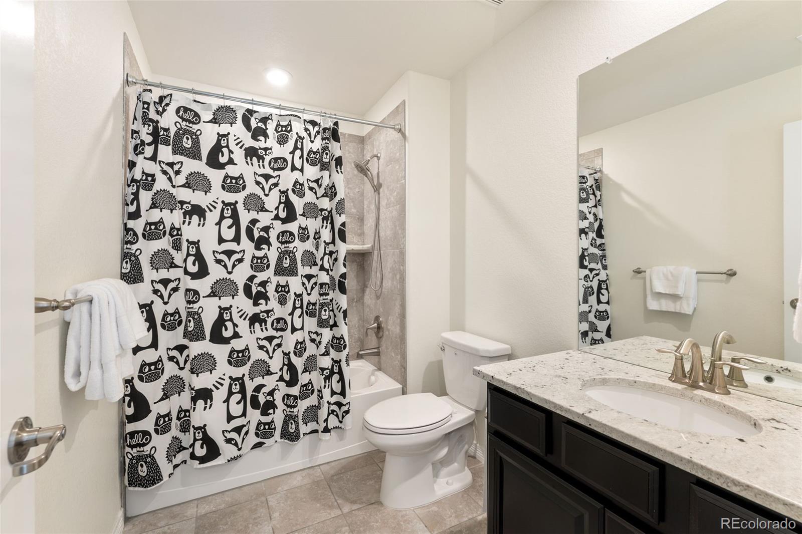 MLS Image #29 for 10465  konstanz street,parker, Colorado