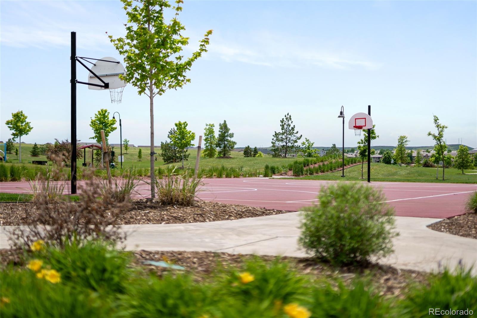 MLS Image #49 for 10465  konstanz street,parker, Colorado