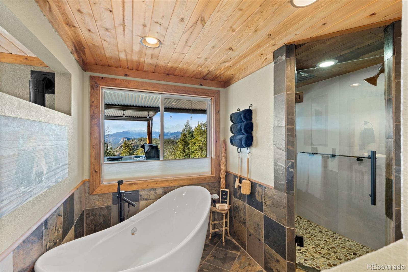MLS Image #29 for 11325  pauls drive,conifer, Colorado