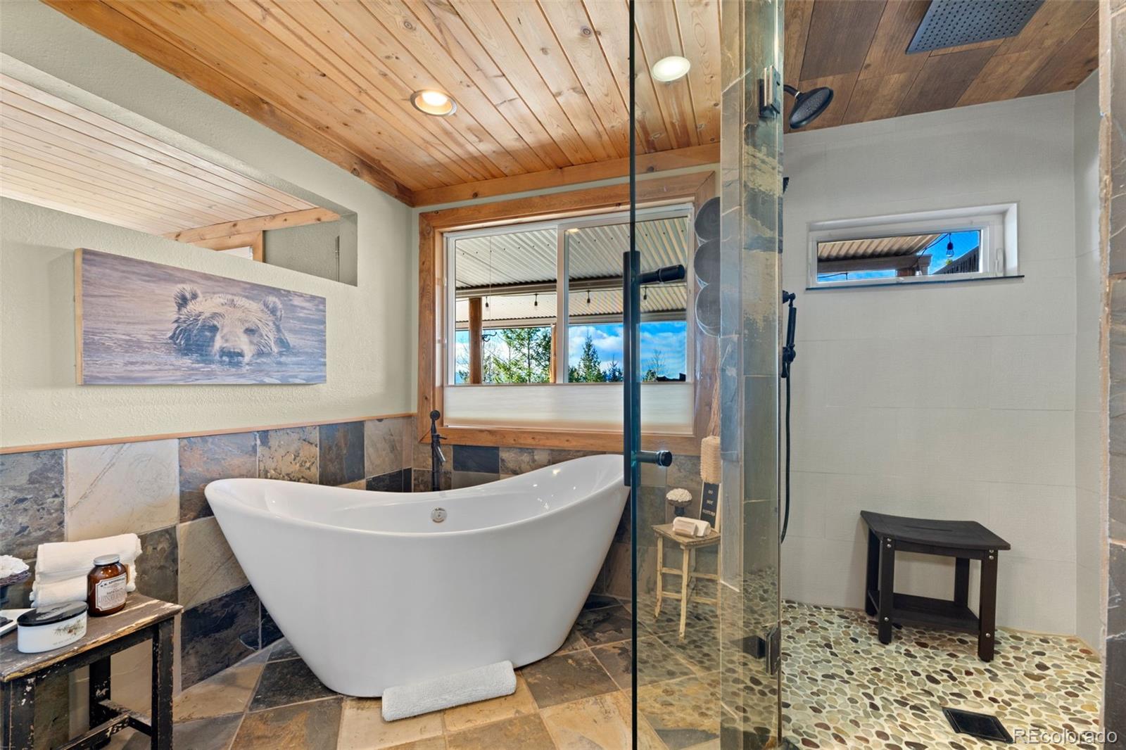 MLS Image #30 for 11325  pauls drive,conifer, Colorado