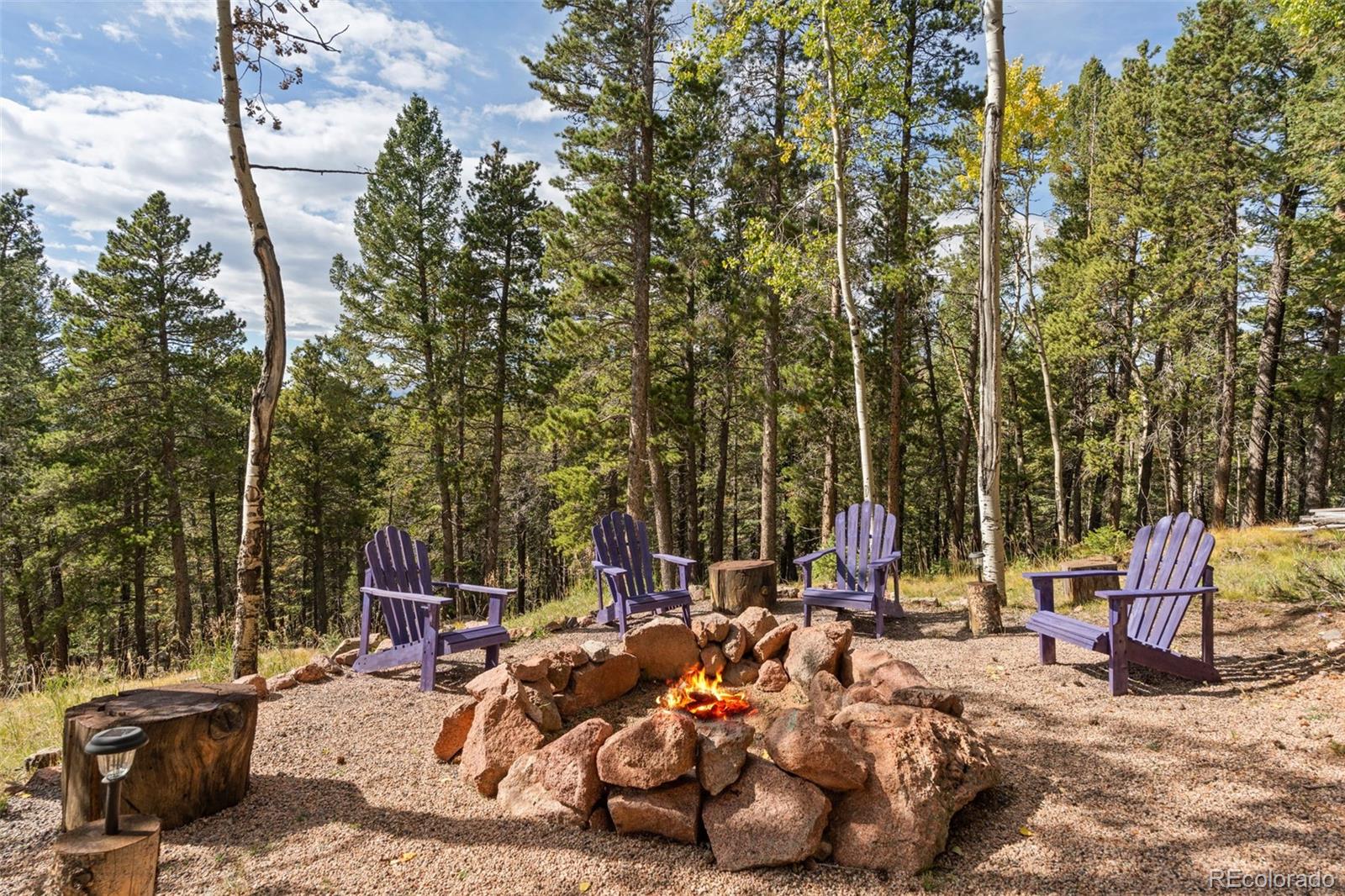 MLS Image #41 for 11325  pauls drive,conifer, Colorado