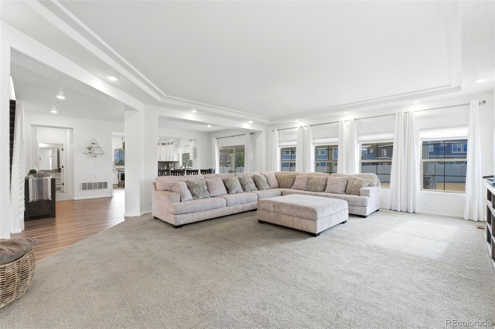 MLS Image #3 for 20800 e beekman place,denver, Colorado