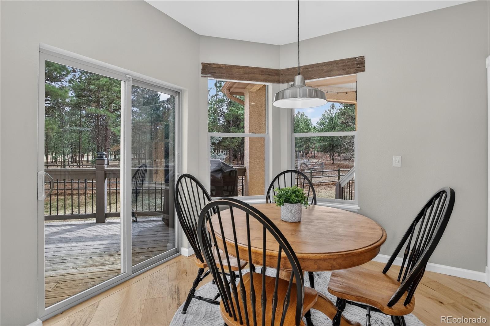 MLS Image #8 for 11955  sir galahad drive,colorado springs, Colorado