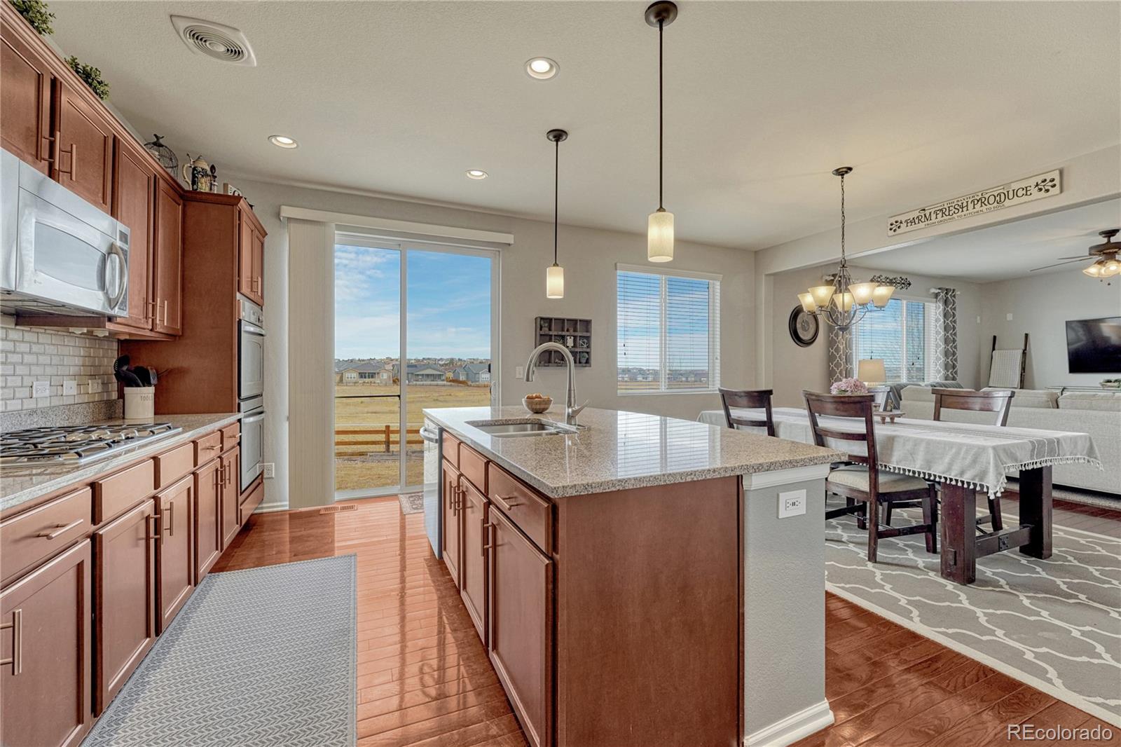 MLS Image #14 for 7791  grady circle,castle rock, Colorado