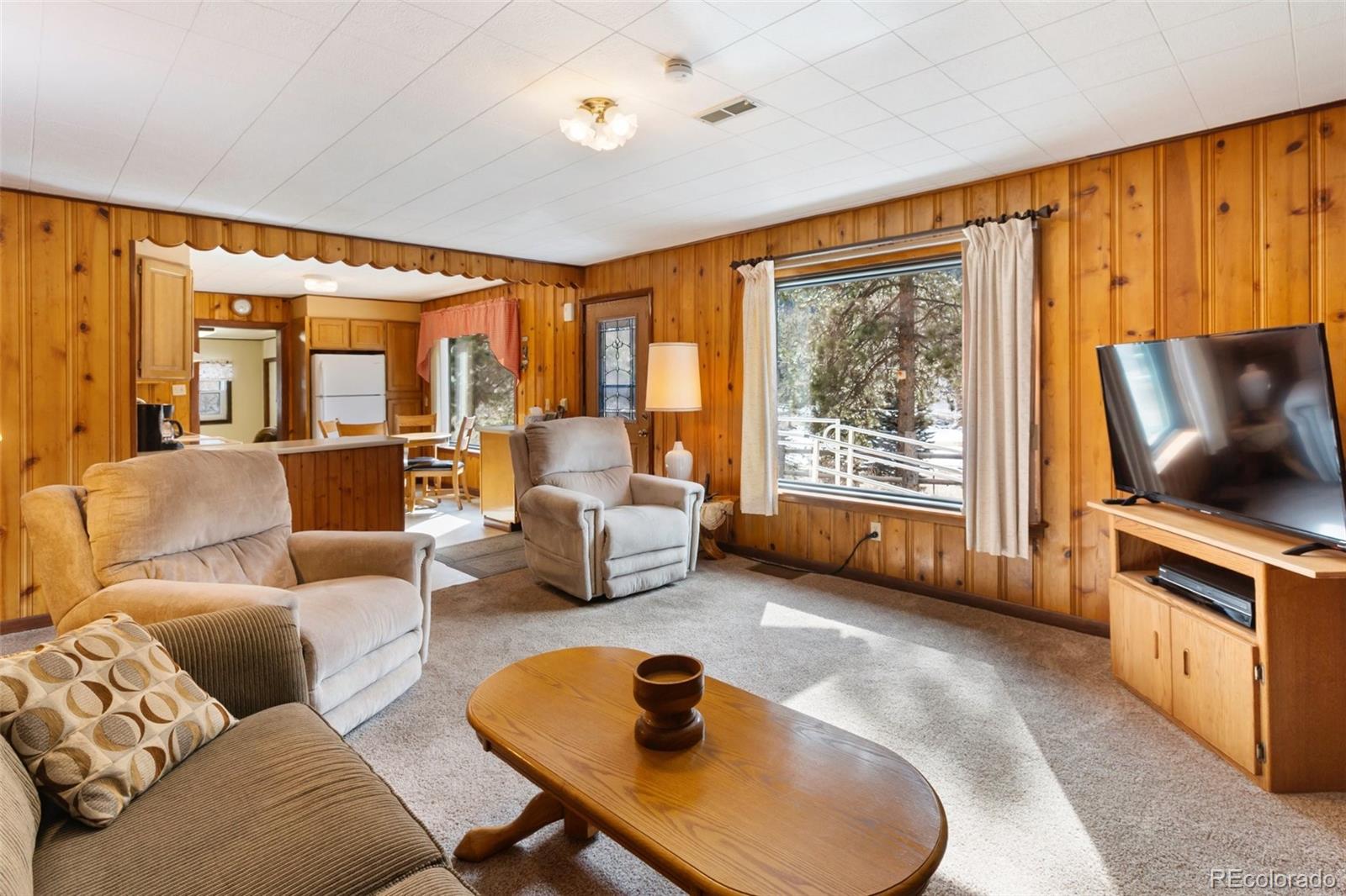 MLS Image #9 for 10420  el paso ,green mountain falls, Colorado
