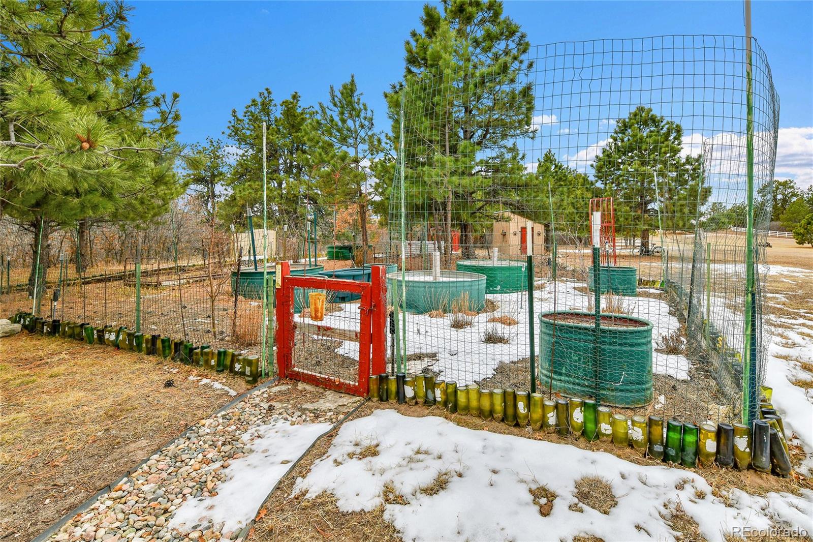 MLS Image #39 for 12984  crowfoot springs road,larkspur, Colorado