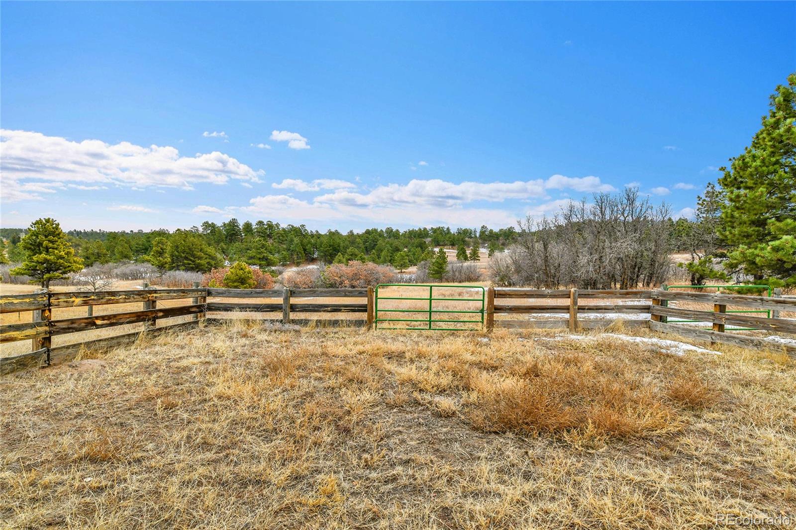 MLS Image #44 for 12984  crowfoot springs road,larkspur, Colorado