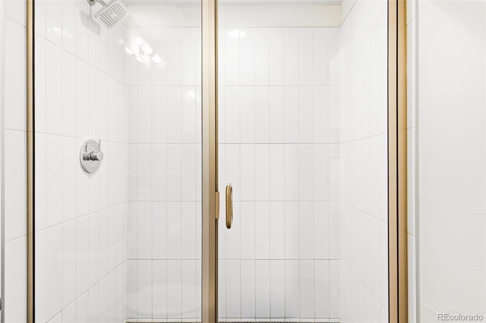 MLS Image #28 for 1304 n emerson street ,denver, Colorado