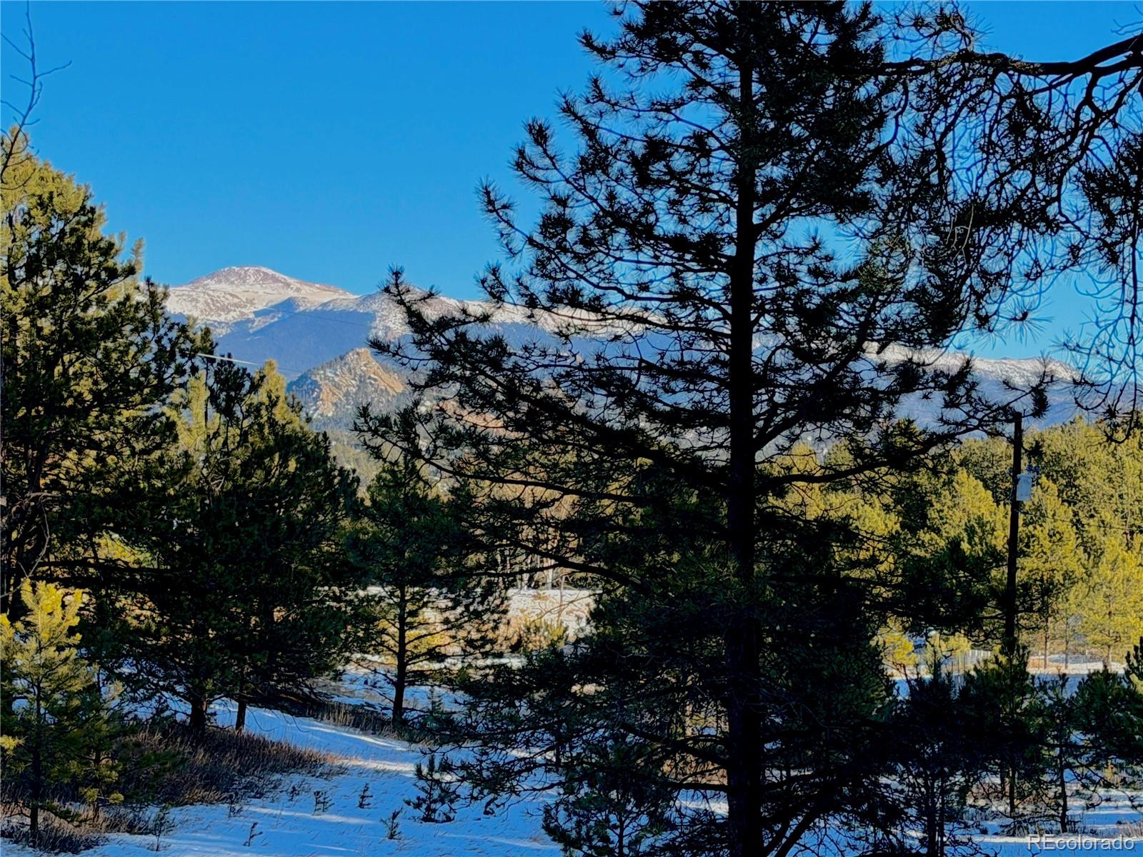 MLS Image #1 for 919  matterhorn drive,florissant, Colorado