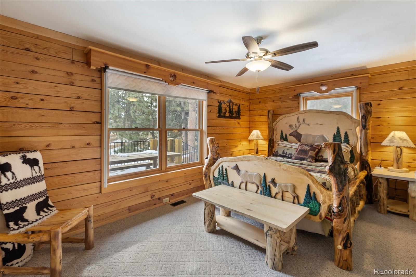 MLS Image #14 for 919  matterhorn drive,florissant, Colorado