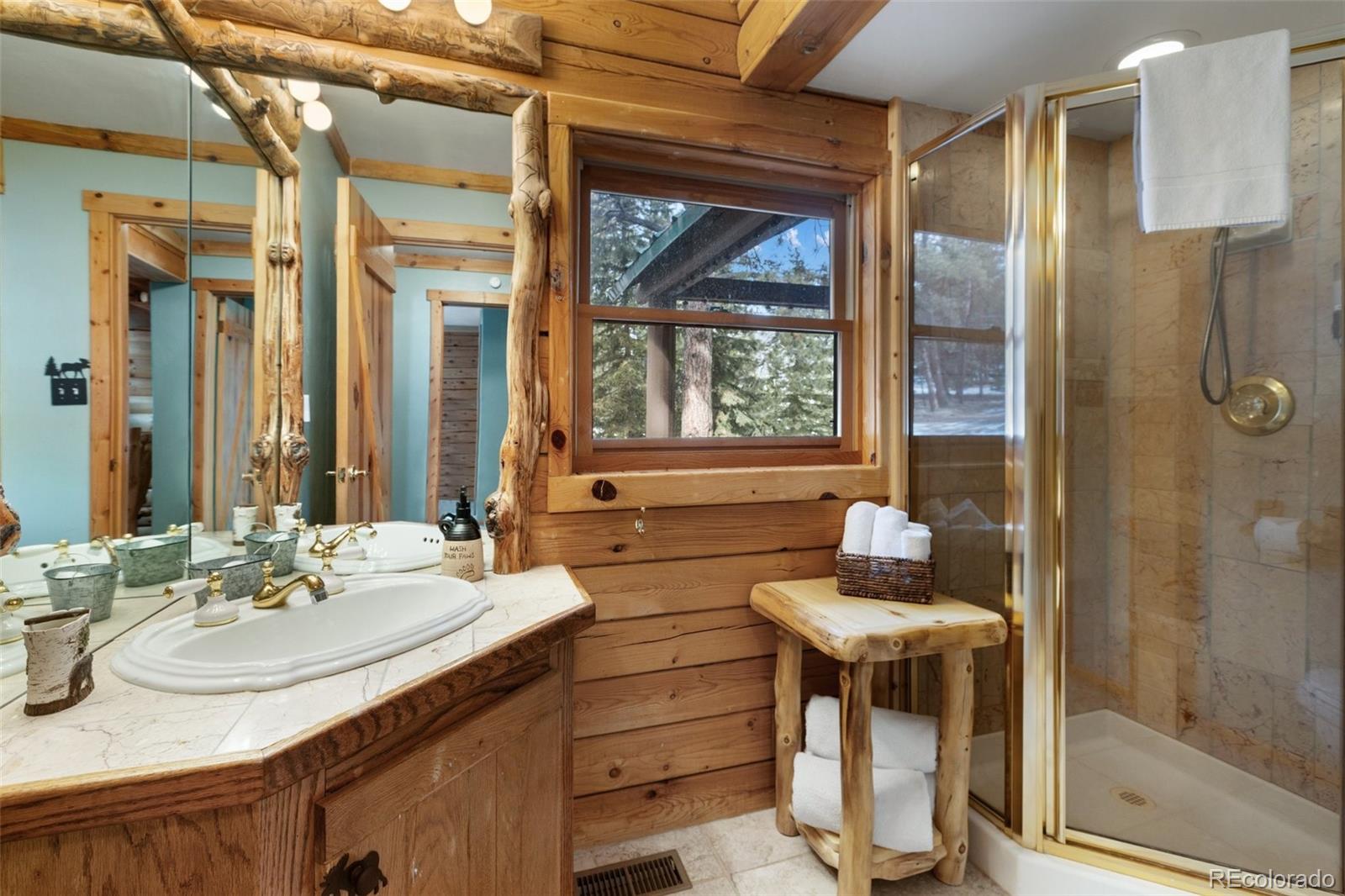 MLS Image #19 for 919  matterhorn drive,florissant, Colorado