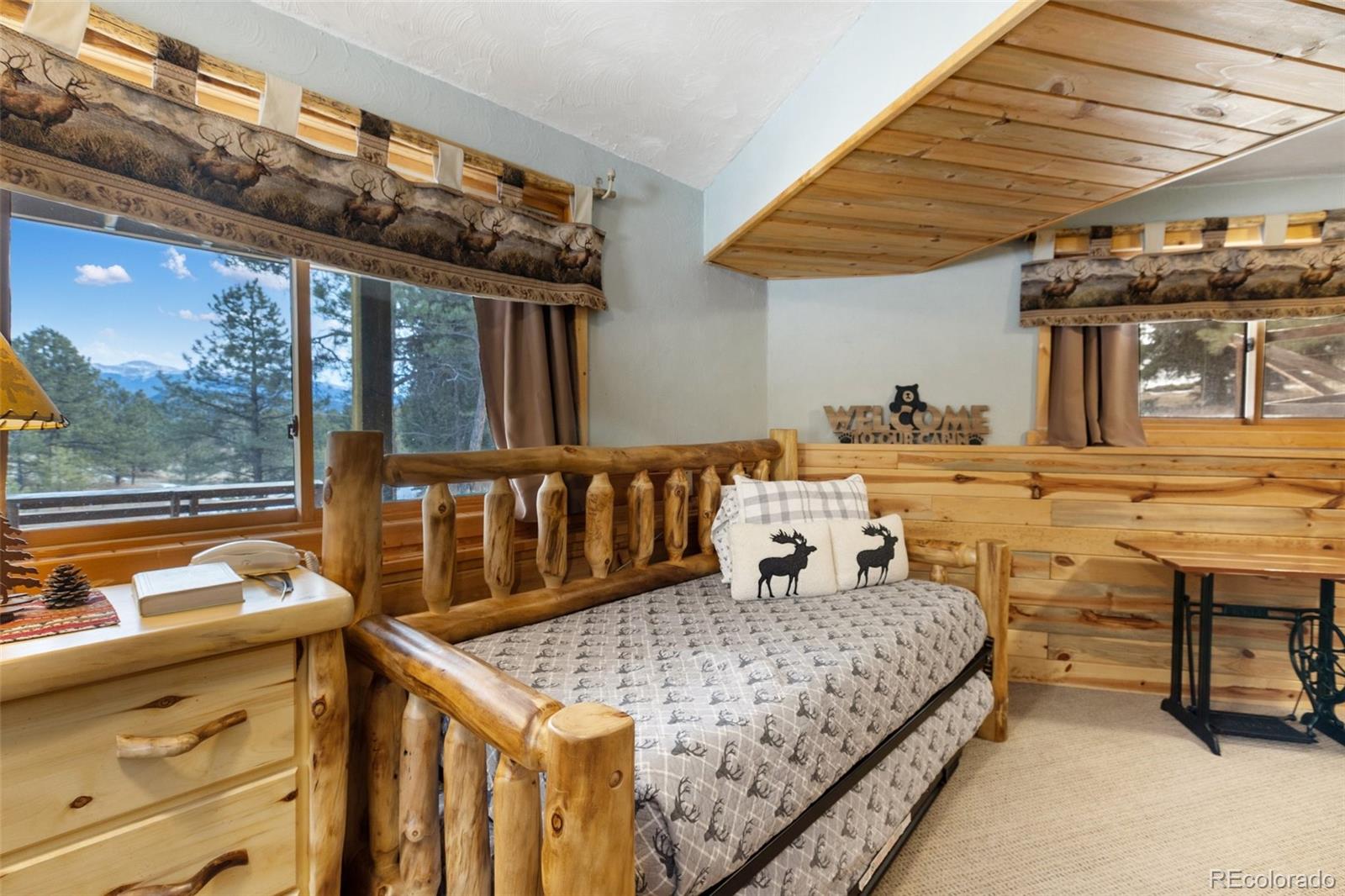MLS Image #26 for 919  matterhorn drive,florissant, Colorado