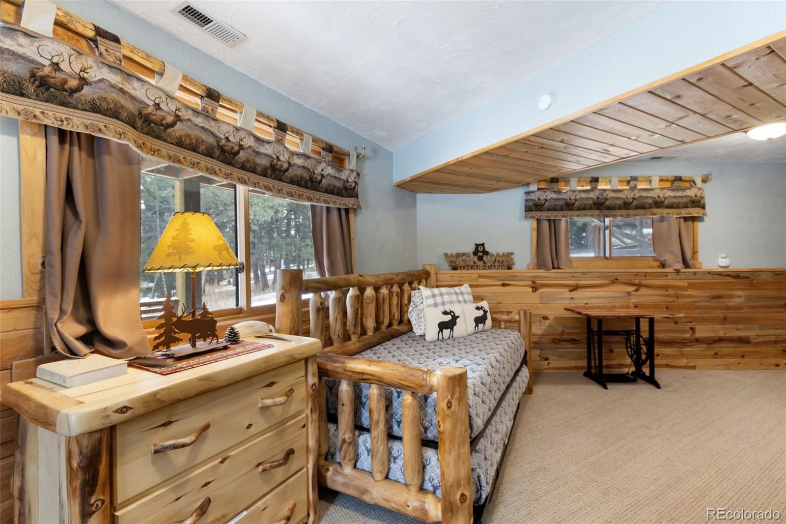 MLS Image #27 for 919  matterhorn drive,florissant, Colorado